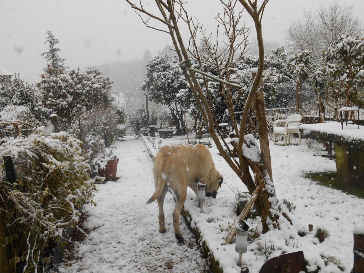 La Mare Aux Fees Bed & Breakfast Huelgoat Bagian luar foto